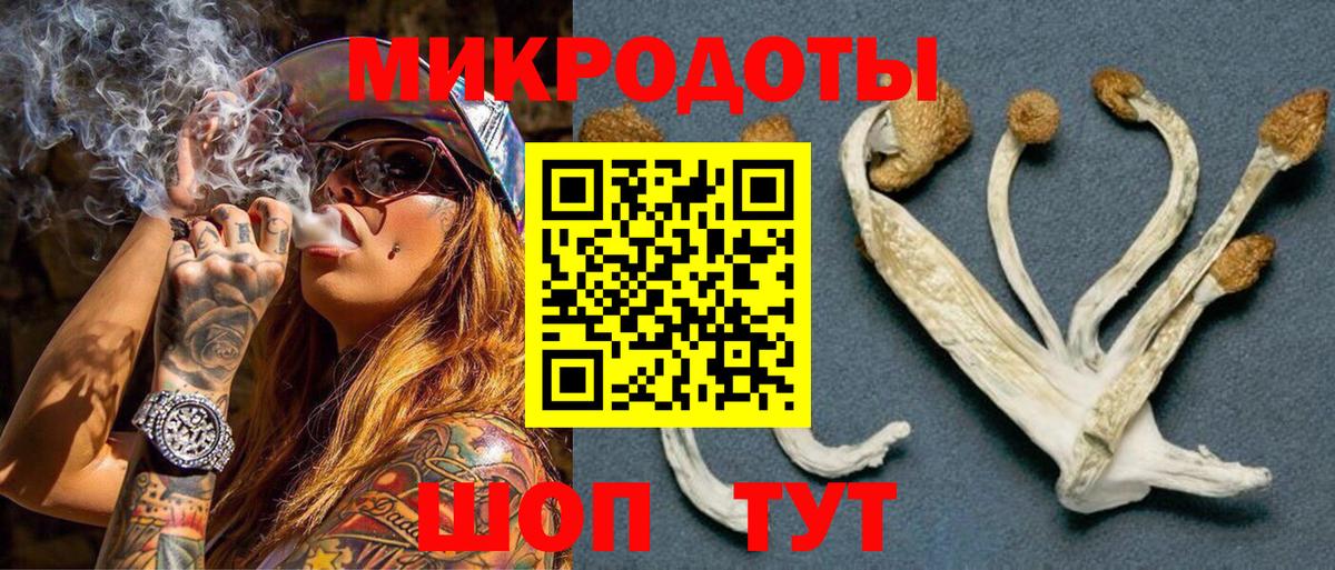 Галлюциногенные грибы ЛСД  дарнет шоп  Псилоцибиновые грибы мухоморы  Отрадный  Вход с VPN 