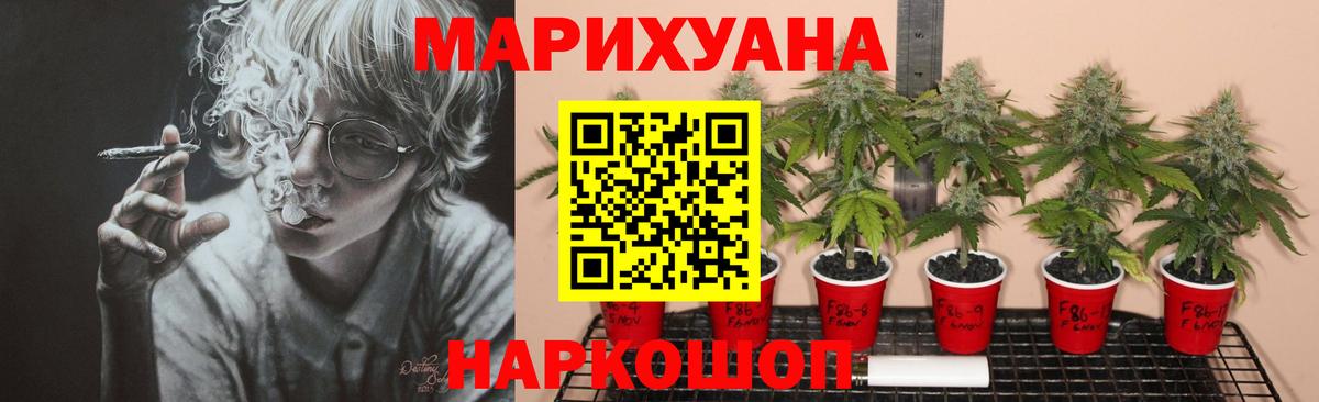 Марихуана ГИДРОПОН Отрадный